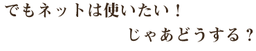 でもネットは使いたい！じゃあどうする？